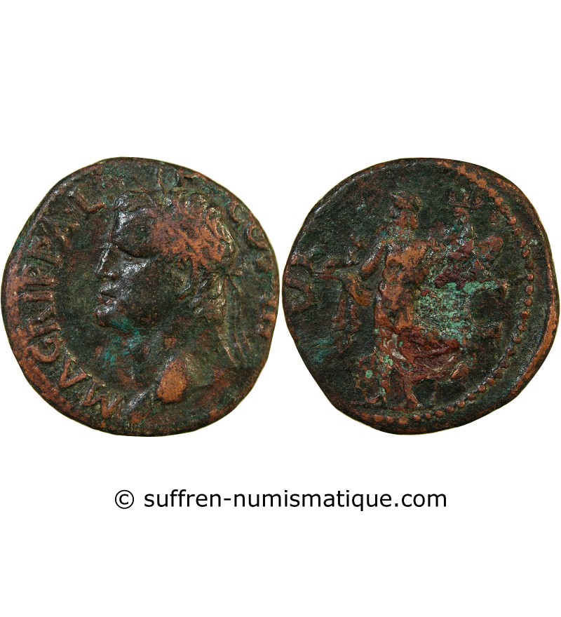 AGRIPPA, FRAPPE SOUS CALIGULA - AS 37 / 41 ROME