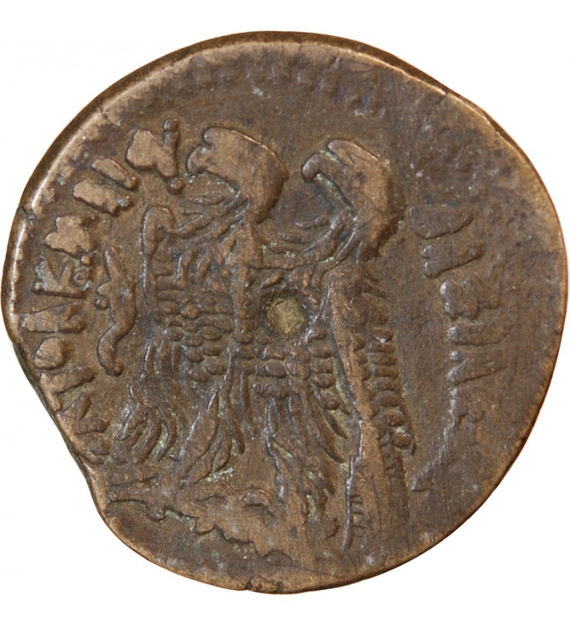 ROYAUME LAGIDE, PTOLEMEE VI - DITRACHALQUE 170 / 164 AV JC