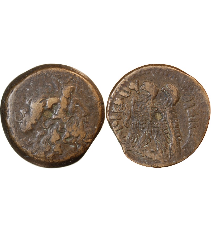 ROYAUME LAGIDE, PTOLEMEE VI - DITRACHALQUE 170 / 164 AV JC