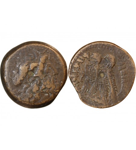 ROYAUME LAGIDE, PTOLEMEE VI - DITRACHALQUE 170 / 164 AV JC