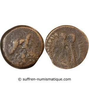 ROYAUME LAGIDE, PTOLEMEE VI - DITRACHALQUE 170 / 164 AV JC