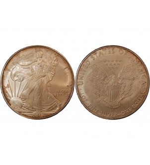 USA, SILVER EAGLE - ONCE D'ARGENT 2010 2