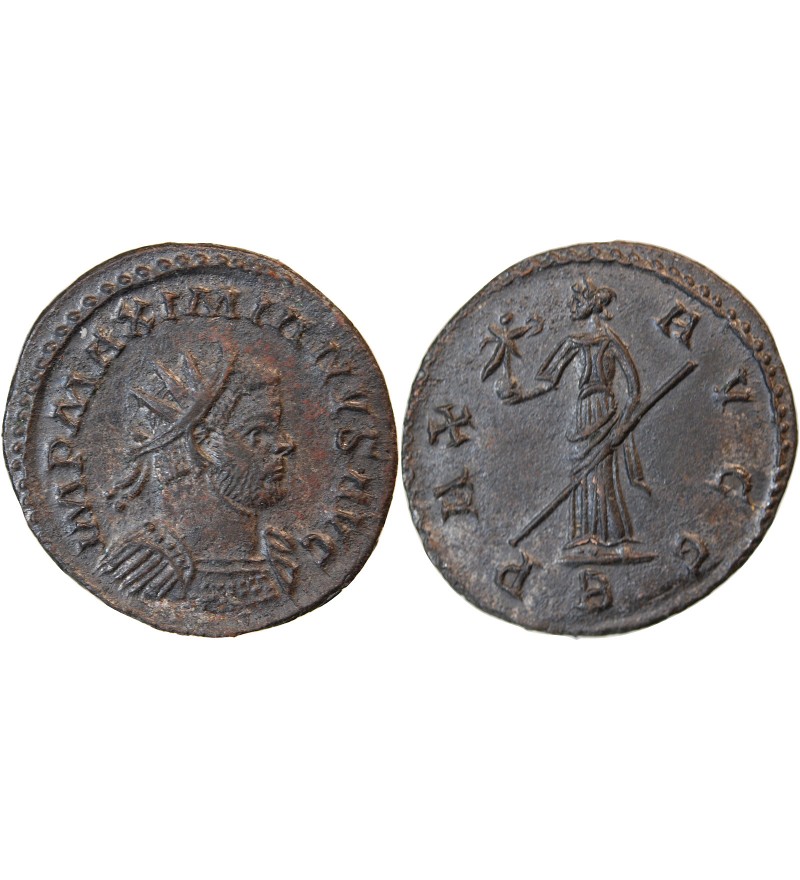 MAXIMIEN HERCULE - ANTONINIEN 289 / 290 LYON