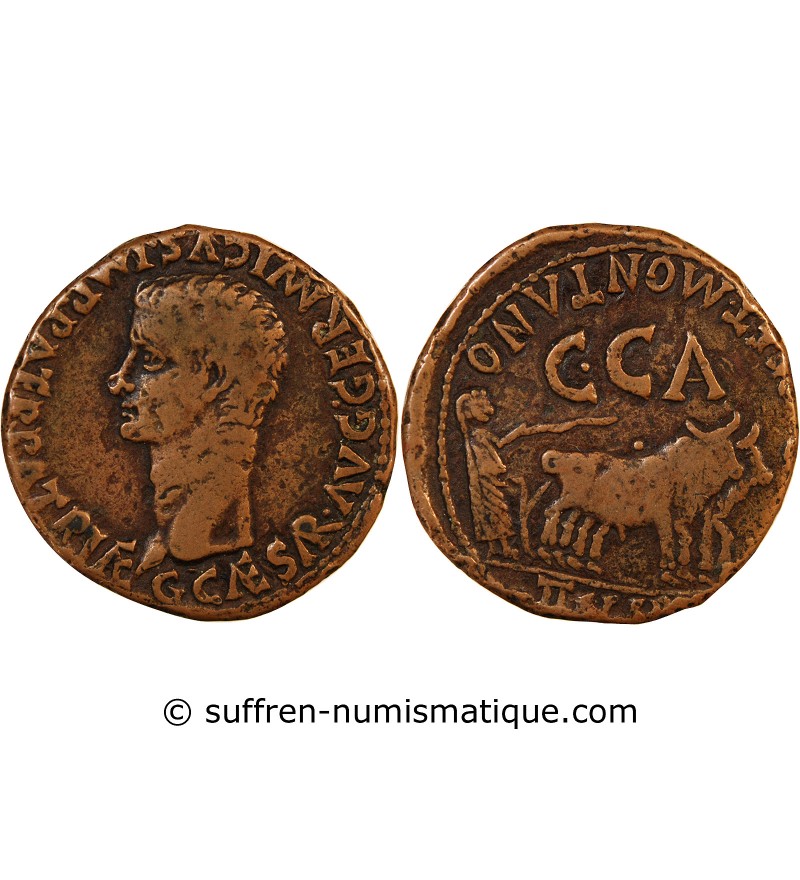 CALIGULA - AS 37 / 41 ESPAGNE - SCIPIONE ET MONTANO