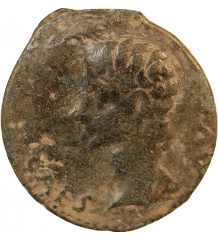 AUGUSTE - AS 11 / 10 AV JC IULIA TRADUCTA