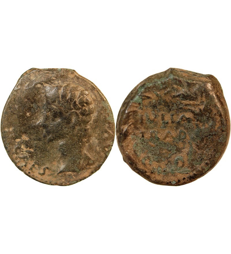 AUGUSTE - AS 11 / 10 AV JC IULIA TRADUCTA