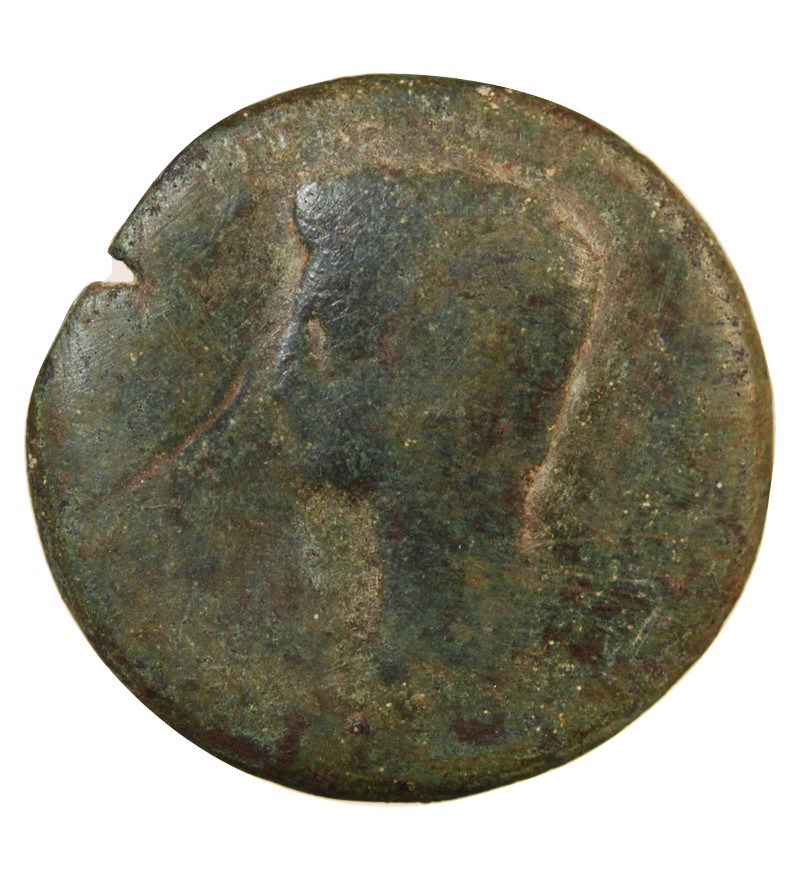 AUGUSTE - DUPONDIUS 15 / 14 AV JC IULIA TRADUCTA