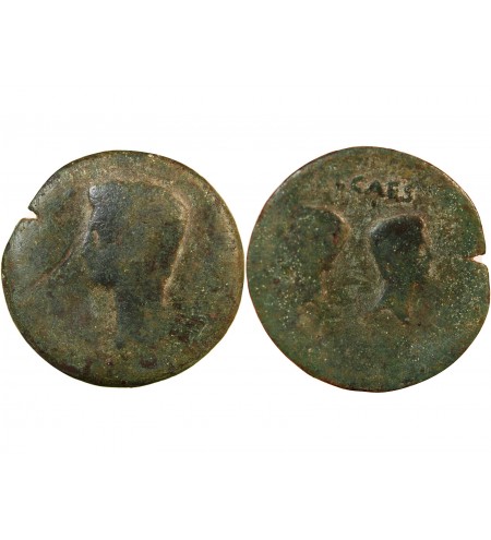 AUGUSTE - DUPONDIUS 15 / 14 AV JC IULIA TRADUCTA