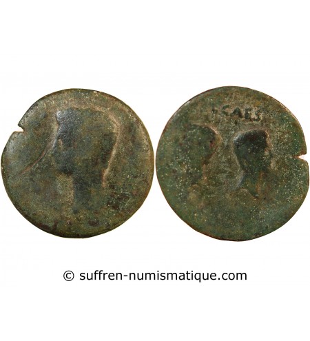 AUGUSTE - DUPONDIUS 15 / 14 AV JC IULIA TRADUCTA