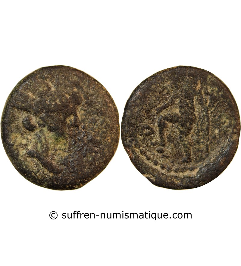 HISPANIA, CARTEIA - SEMIS Ier SIECLE AV JC