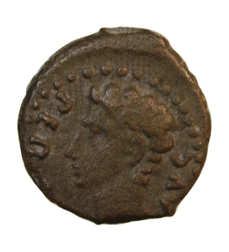 AUGUSTE - QUADRANS 27 AV JC / 14 COLINIA PATRICIA