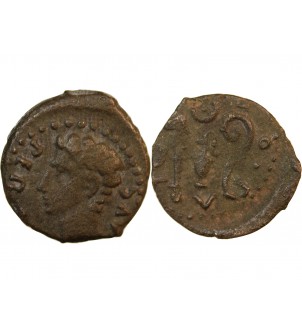 AUGUSTE - QUADRANS 27 AV JC / 14 COLINIA PATRICIA 2