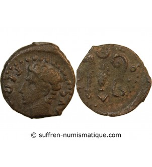 AUGUSTE - QUADRANS 27 AV JC / 14 COLINIA PATRICIA