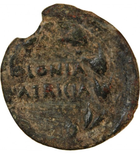 AUGUSTE - AS 19 / 2 AV JC COLONIA PATRICIA