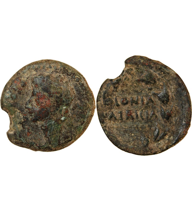 AUGUSTE - AS 19 / 2 AV JC COLONIA PATRICIA