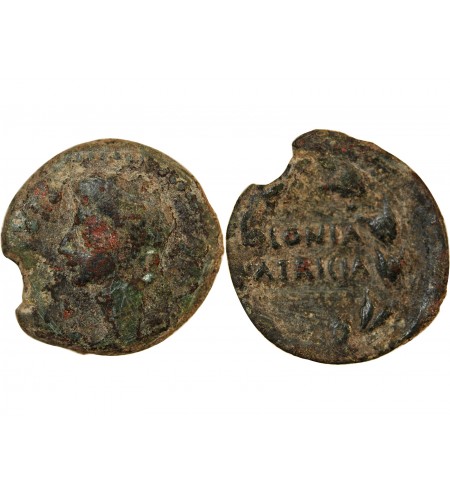 AUGUSTE - AS 19 / 2 AV JC COLONIA PATRICIA