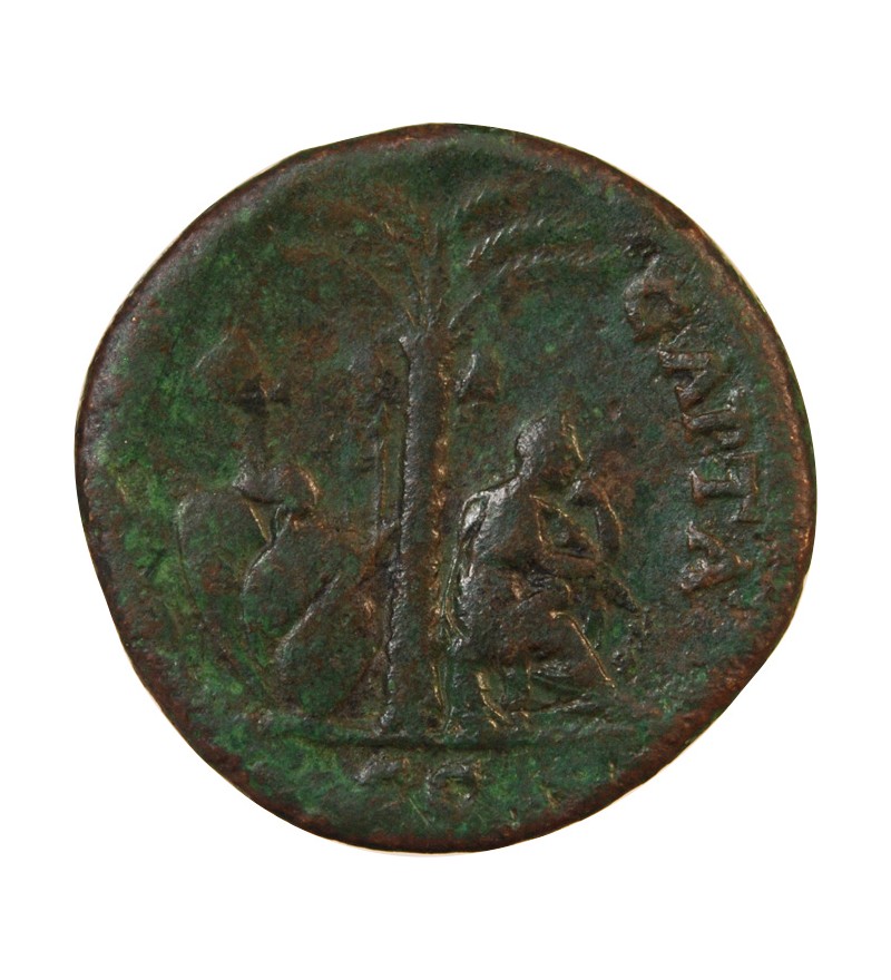 TITUS - AS 77 / 78 LYON - IVDEA CAPTA