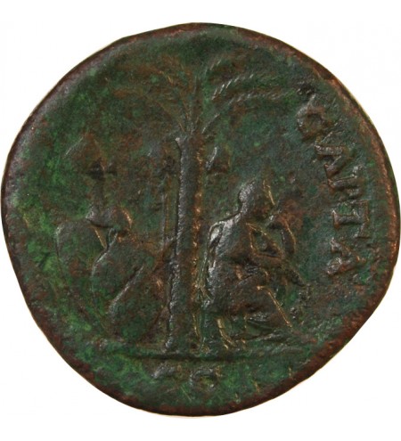 TITUS - AS 77 / 78 LYON - IVDEA CAPTA