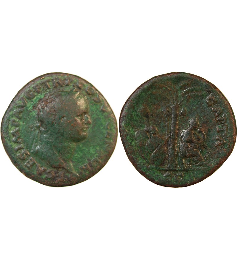 TITUS - AS 77 / 78 LYON - IVDEA CAPTA