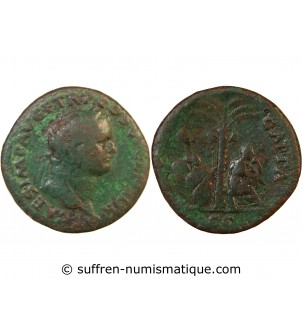 TITUS - AS 77 / 78 LYON - IVDEA CAPTA