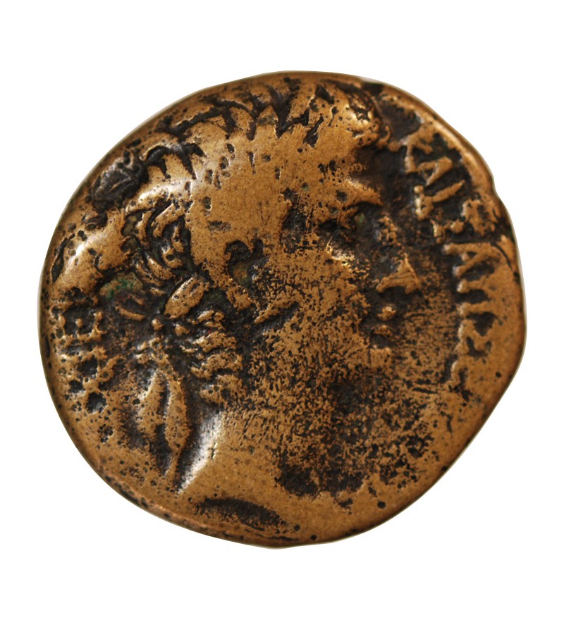 AUGUSTE - SEMIS 5 / 4 AV JC ANTIOCHE