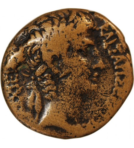 AUGUSTE - SEMIS 5 / 4 AV JC ANTIOCHE