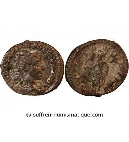 HERENNIUS ETRUSCUS - ANTONINIEN 250-251 ROME