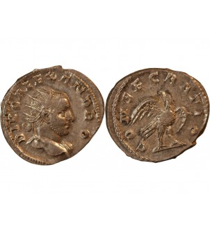 SEVERE ALEXANDRE - ANTONINIEN 251 ROME 2