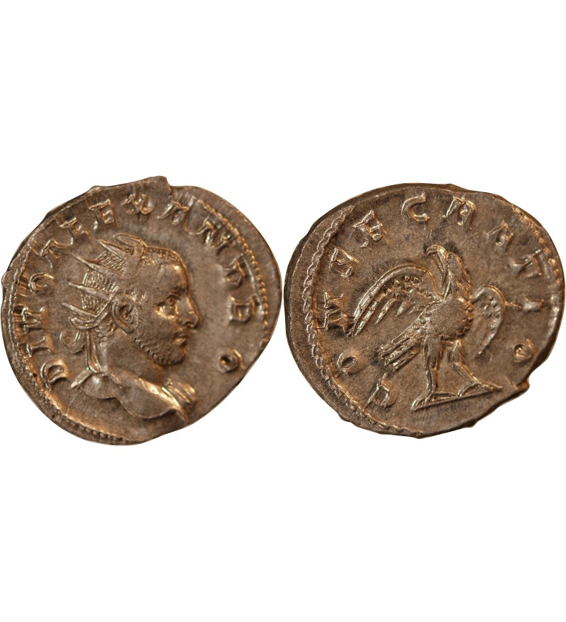 SEVERE ALEXANDRE - ANTONINIEN 251 ROME