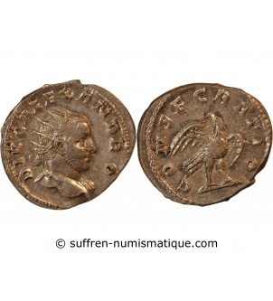 SEVERE ALEXANDRE - ANTONINIEN 251 ROME