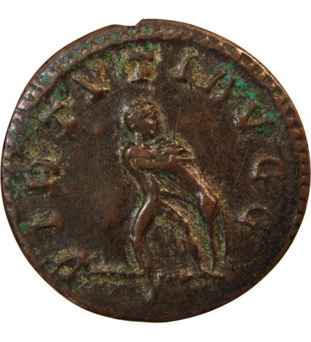 MAXIMIEN HERCULE - ANTONINIEN 287 / 289 LYON