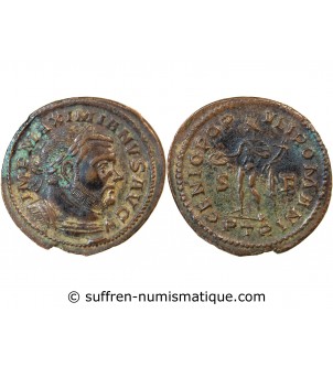 MAXIMIEN HERCULE - FOLLIS 303 / 305 TREVES