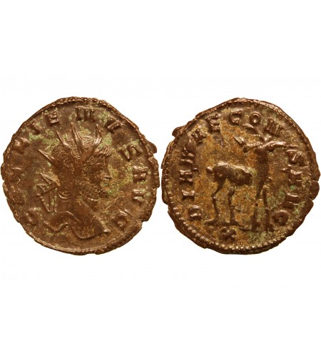 GALLIEN - ANTONINIEN 267 / 268 ROME