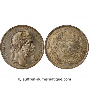 VICTOR-EMMANUEL II - MÉDAILLE ÉTAIN 1859 TURIN - Indépendance italienne