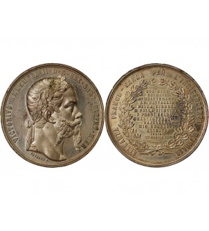 VICTOR-EMMANUEL II - MÉDAILLE ÉTAIN 1859 TURIN - Indépendance italienne 2