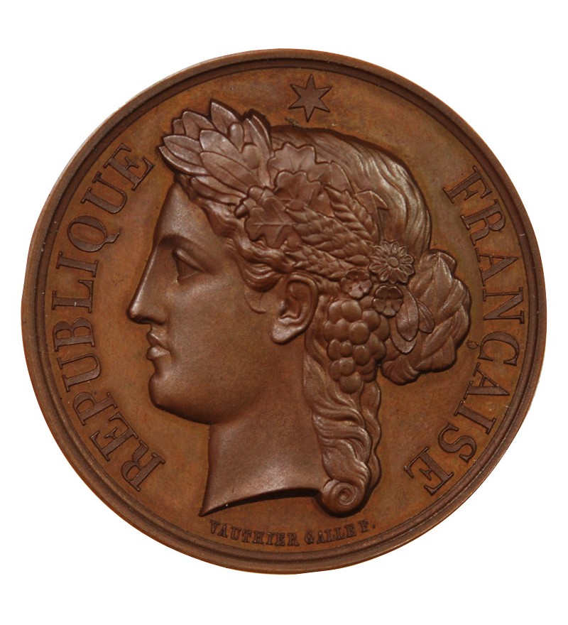 MINISTÈRE DE L'INTÉRIEUR, PRISONS DE LA SEINE - MÉDAILLE CUIVRE