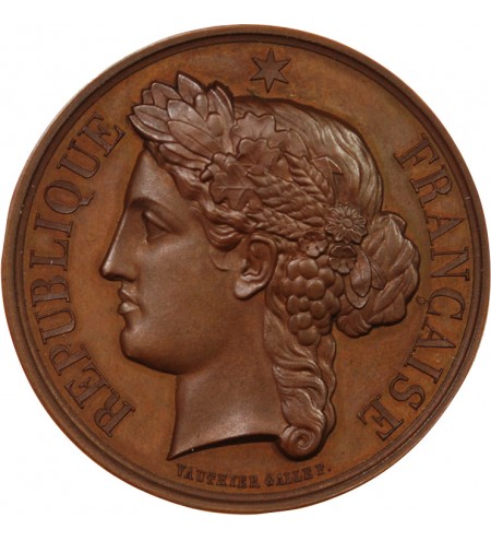 MINISTÈRE DE L'INTÉRIEUR, PRISONS DE LA SEINE - MÉDAILLE CUIVRE