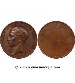 NAPOLÉON IV - MÉDAILLE CUIVRE 1874 - MAJORITÉ DU PRINCE