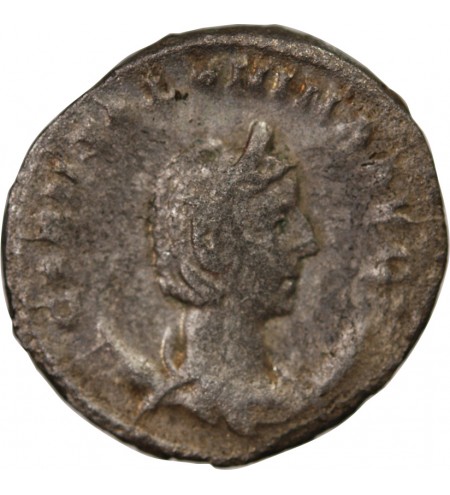 SALONINE - ANTONINIEN 254 / 257 VIMINACIUM