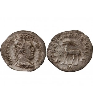 PHILIPPE Ier L'ARABE - ANTONINIEN 248 ROME 2