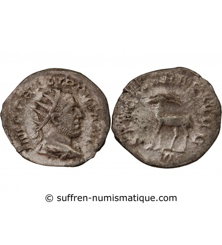 PHILIPPE Ier L'ARABE - ANTONINIEN 248 ROME