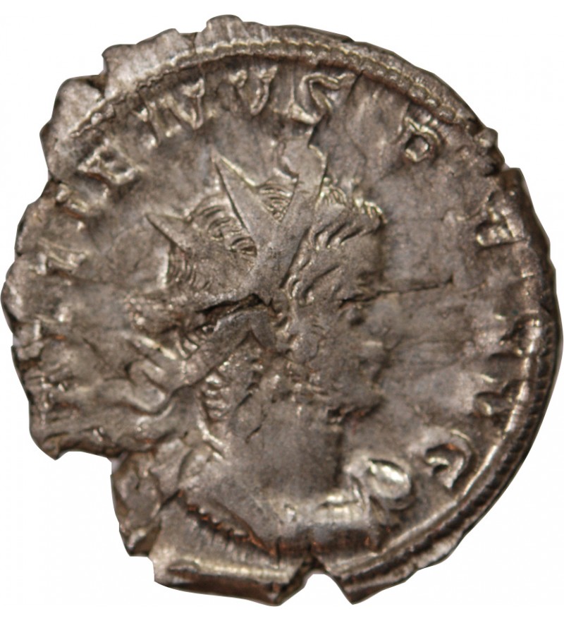 GALLIEN - ANTONINIEN 256 / 260 COLOGNE