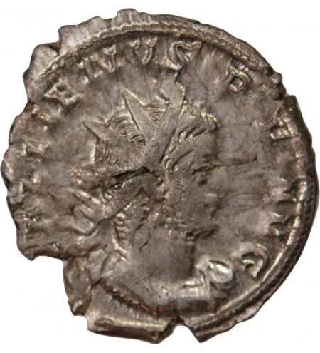 GALLIEN - ANTONINIEN 256 / 260 COLOGNE