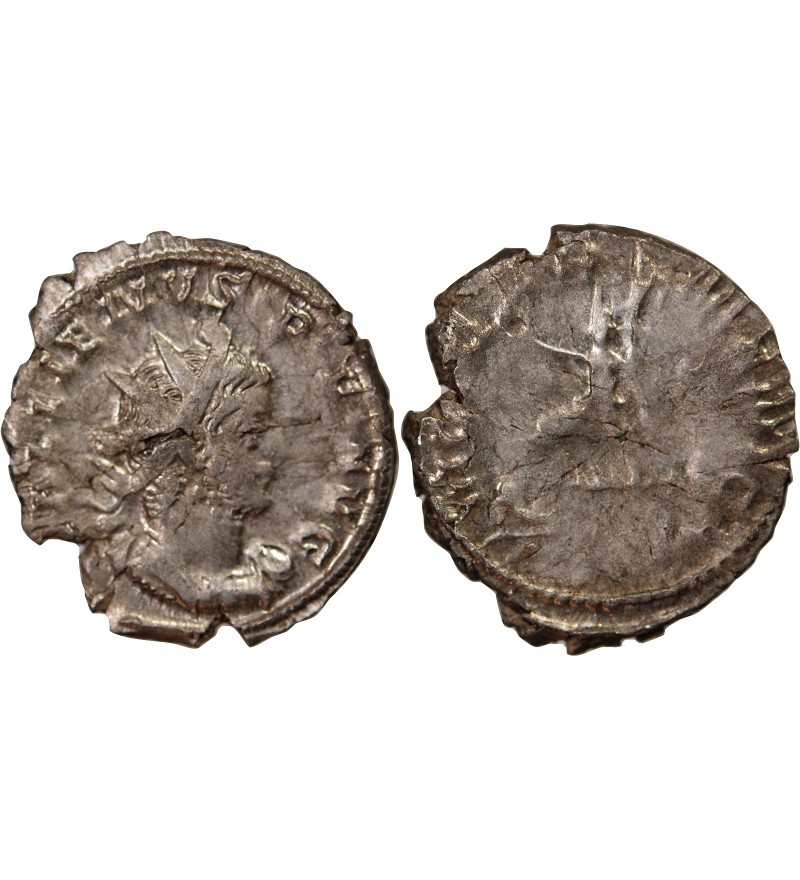 GALLIEN - ANTONINIEN 256 / 260 COLOGNE