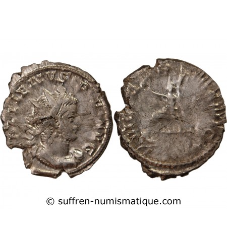 GALLIEN - ANTONINIEN 256 / 260 COLOGNE