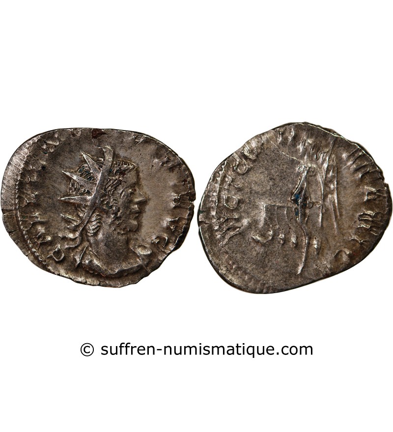 GALLIEN - ANTONINIEN 256 / 260 COLOGNE