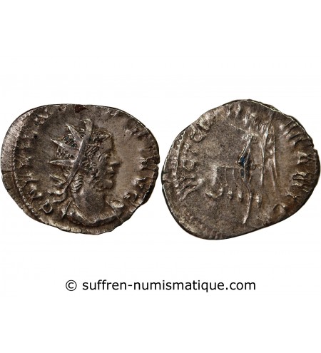 GALLIEN - ANTONINIEN 256 / 260 COLOGNE