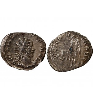 GALLIEN - ANTONINIEN 256 / 260 COLOGNE 2