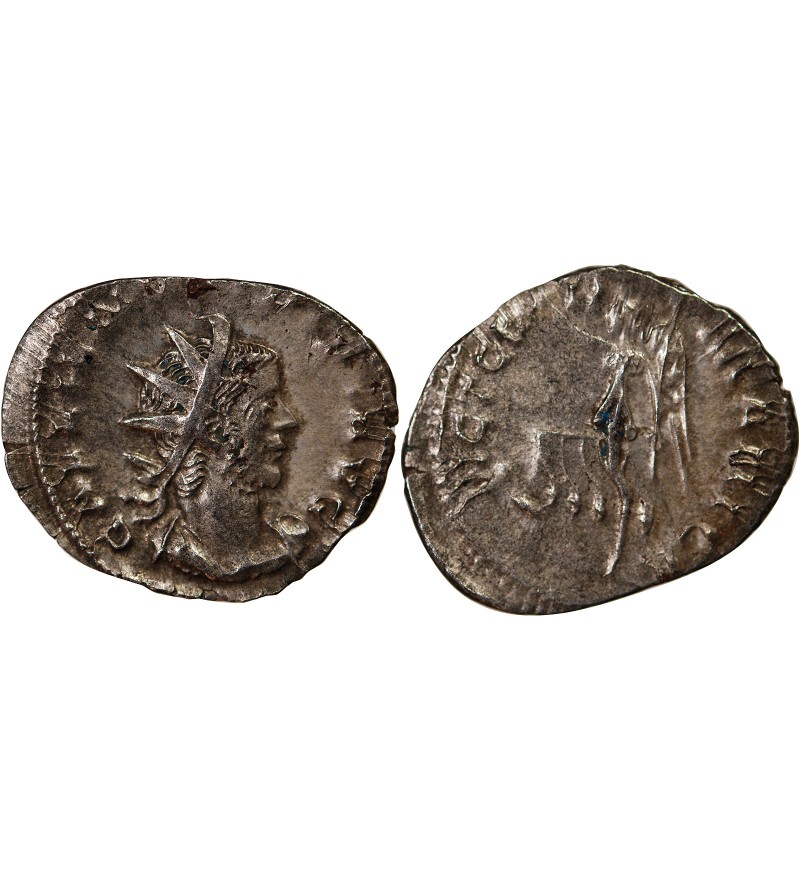 GALLIEN - ANTONINIEN 256 / 260 COLOGNE