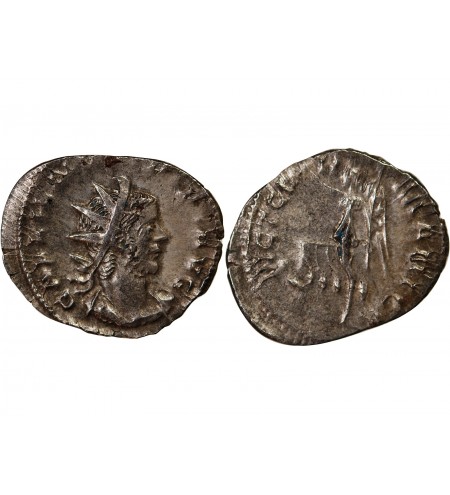 GALLIEN - ANTONINIEN 256 / 260 COLOGNE